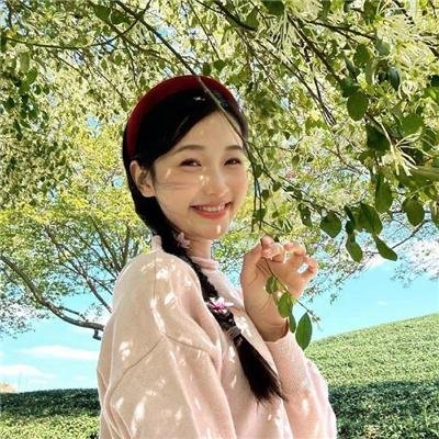 小太阳达芬妮